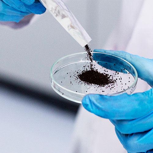 AstaLuxe® – Natural Astaxanthin