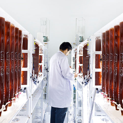 Committed to Excellence